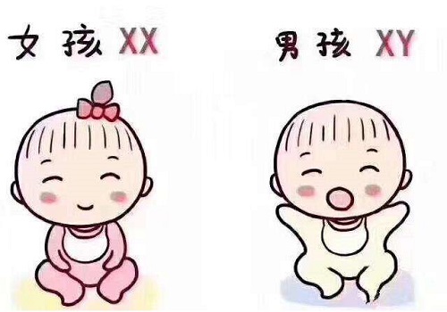 试管婴儿多少费用