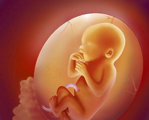 试管婴儿移植后多少天才能测怀孕？