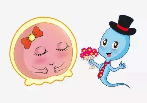试管婴儿医院应该怎么去选择