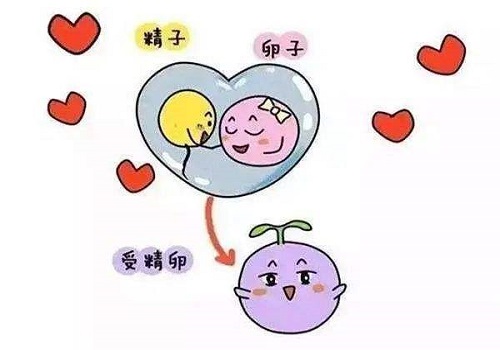 试管婴儿优势是什么？风险大吗？