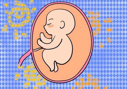 美国试管婴儿好孕保卫“站” 梦美保障IVF周期的顺利进行