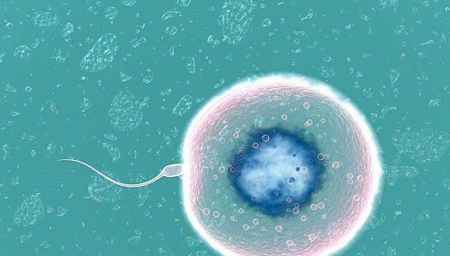美国试管婴儿之单精子注射技术(ICSI)