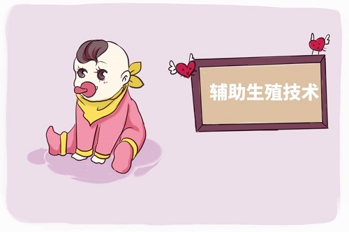 俄罗斯试管婴儿的价钱是多少呢