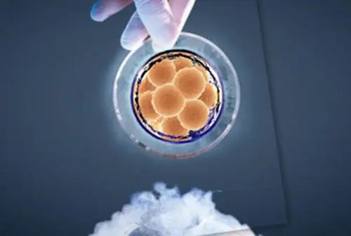 试管婴儿多少钱一次？怎么能便宜点？
