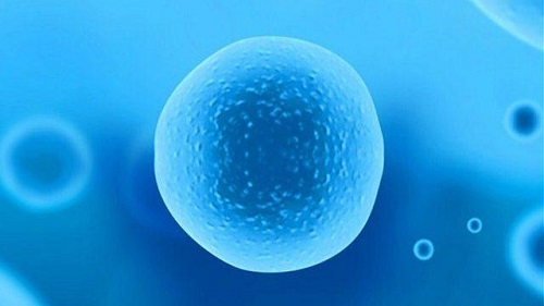 美国试管婴儿攻略：如何解决男性精子质量问题？
