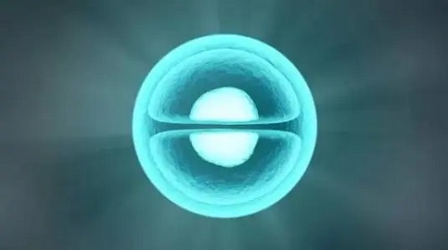 试管婴儿全过程只需要看三个阶段