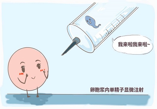 试管婴儿前期准备工作有什么？