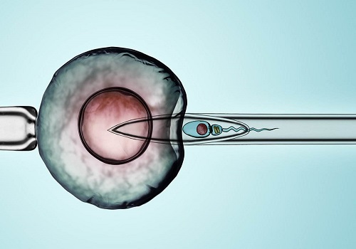 试管婴儿常见的保胎措施有哪些？