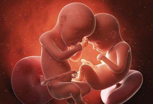 美国试管婴儿方案：选择鲜胚移植还是冻胚移植？