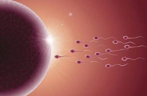 美国试管婴儿如何提高胚胎基因检测通过率？