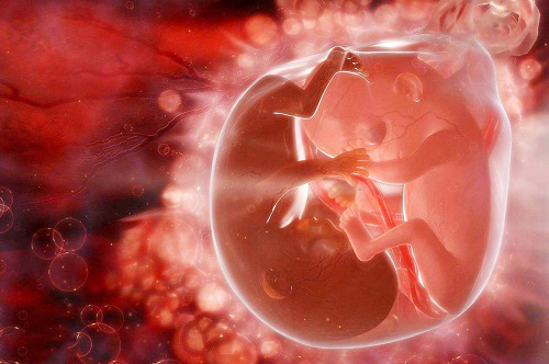 美国试管婴儿如何避免胚胎碎片率高的问题？