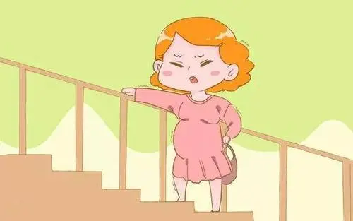 为您呈现美国试管婴儿的五个魅力点