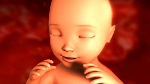 试管婴儿常见的保胎措施有哪些？