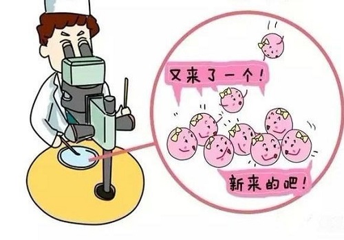 试管婴儿出生宝宝和自然受孕相比，哪个聪明？