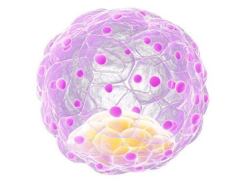 试管婴儿90%不是自己的是真的吗？到底是不是亲生的？