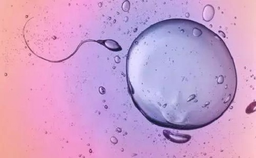 试管婴儿一次成功的几率大吗？情绪的好坏对成功率有影响吗？