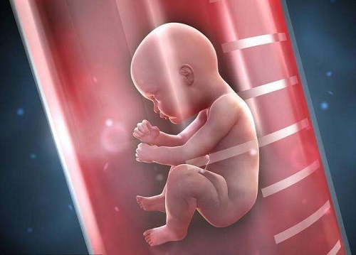 一文解析去美国做试管婴儿实验室的重要性
