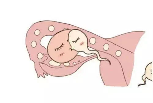 一文了解美国试管婴儿优势及健康问题