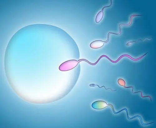 试管婴儿90%不是自己的是真的吗？到底是不是亲生的？
