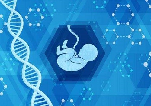 试管婴儿一般要多少钱？