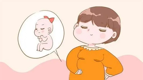 2022年美国试管婴儿费用详解：医疗与吃住行