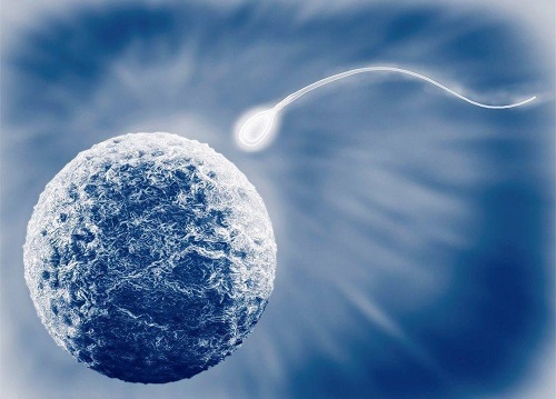 美国试管婴儿囊胚之于早期胚胎，优势及成功率对比